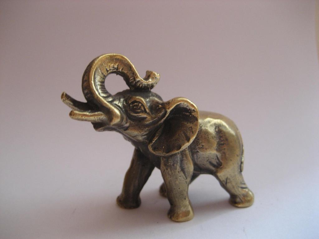 Slon malý